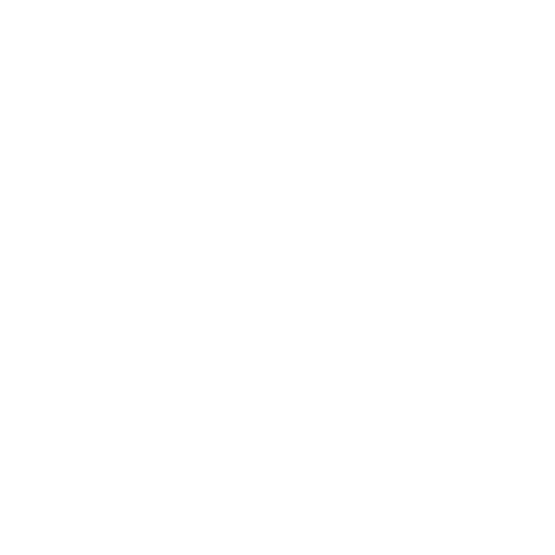 RawResolve logo